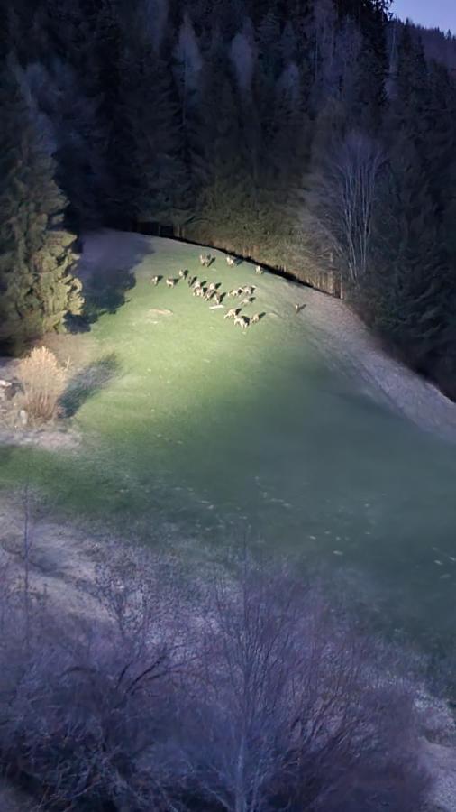 Ferienwohnungen Rabensteiner Bad Kleinkirchheim Eksteriør billede