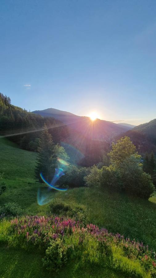 Ferienwohnungen Rabensteiner Bad Kleinkirchheim Eksteriør billede