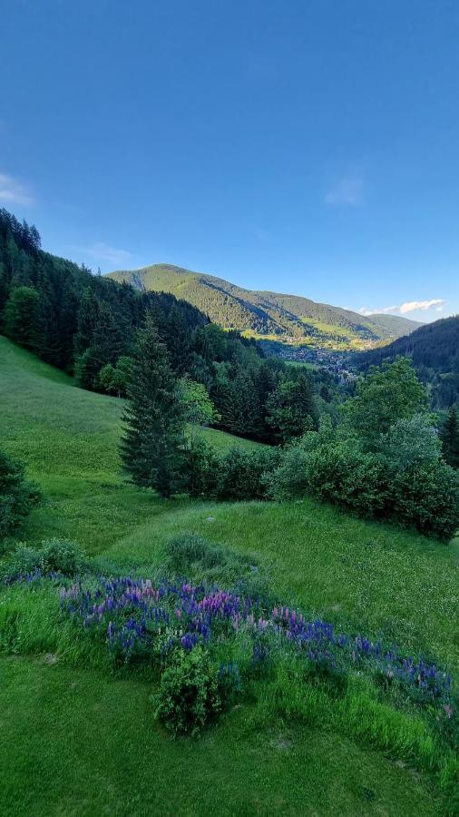 Ferienwohnungen Rabensteiner Bad Kleinkirchheim Eksteriør billede
